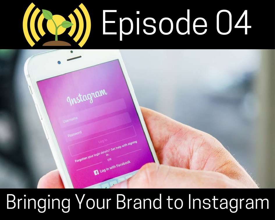 Bringing Your Brand to Instagram